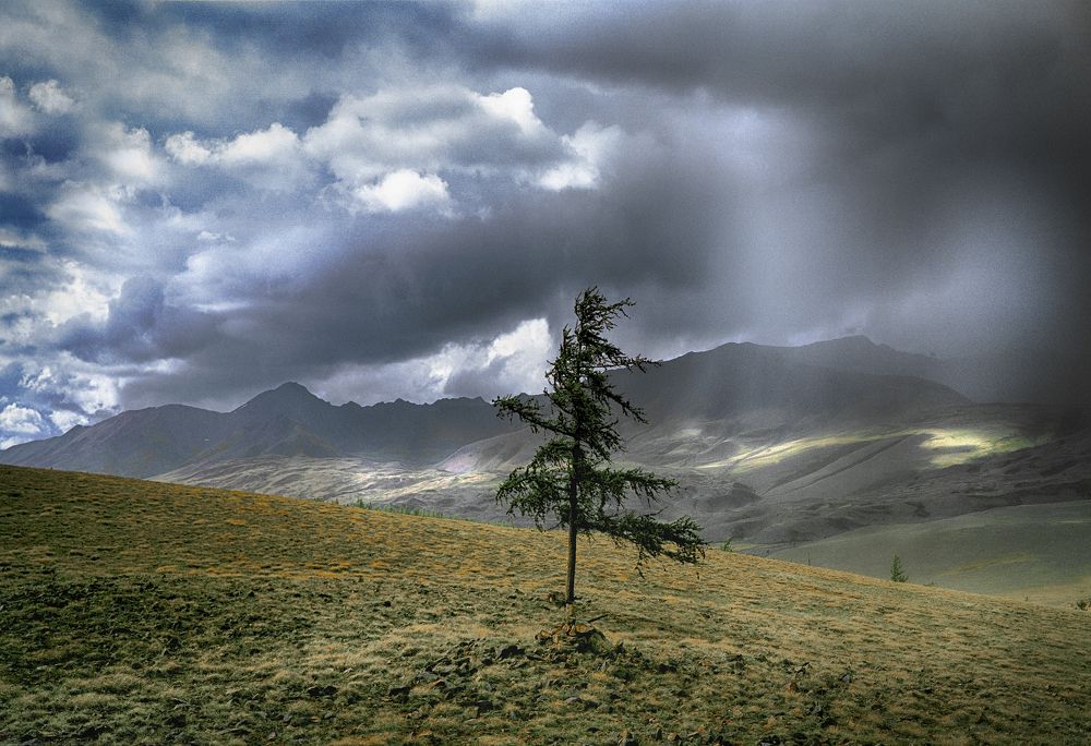 Фотография автора Павел Мартюшев