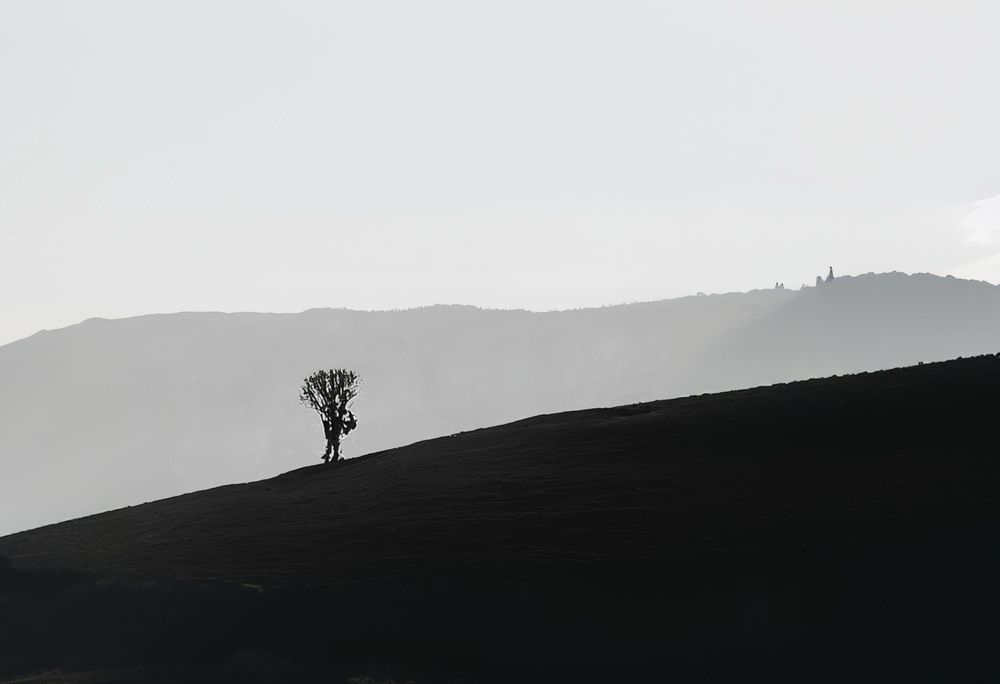 Photograph by Tarek Alassaf