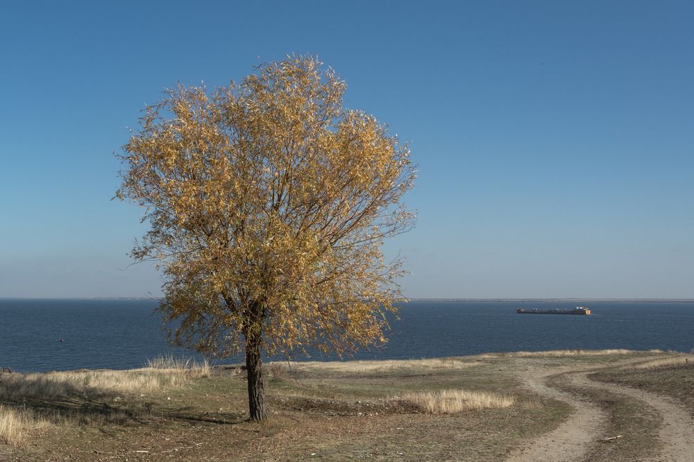 Photograph by Ольга Салтыкова