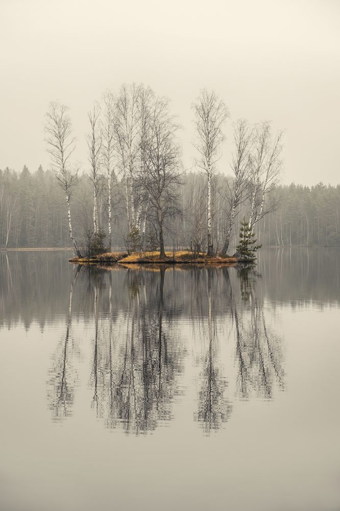 Photograph by Светлана Краюшкина