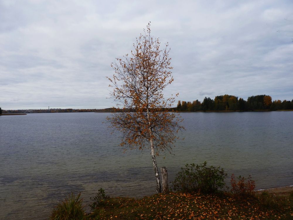 Photograph by Galina Leskova