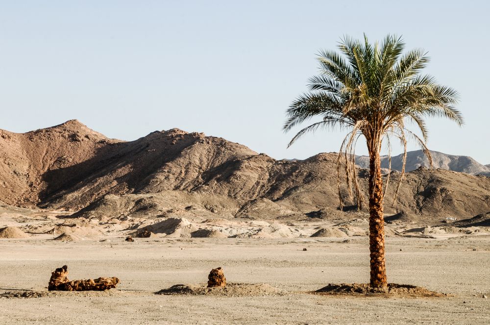 Фотография автора Chorche Prigo