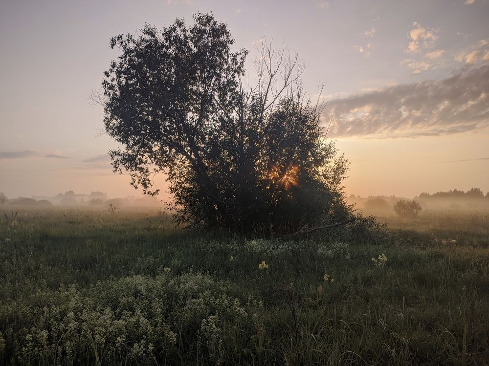 Photograph by Владимир Заборонок