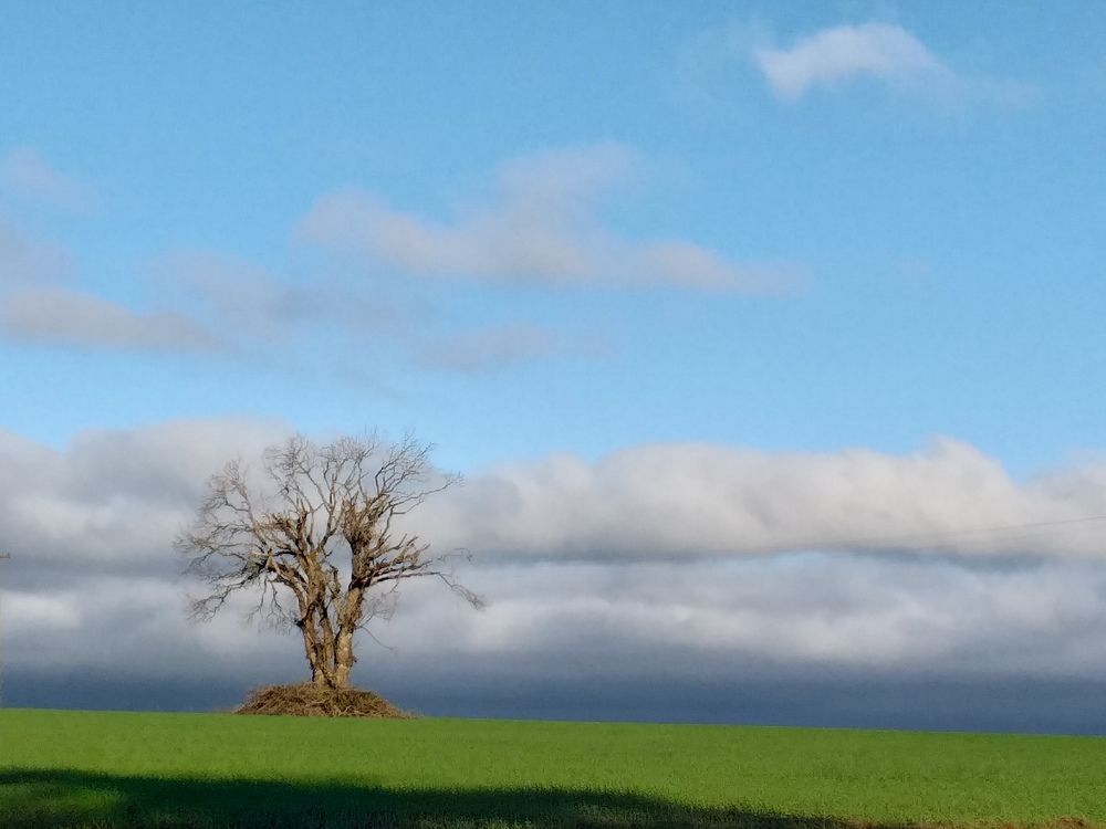 Photo #10628689