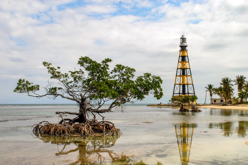 Фотография автора Chorche Prigo