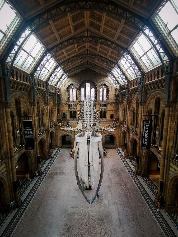 Photograph by Ioannis Graidis