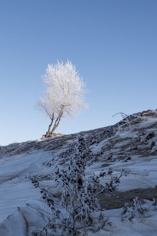 Photograph by Ольга Салтыкова
