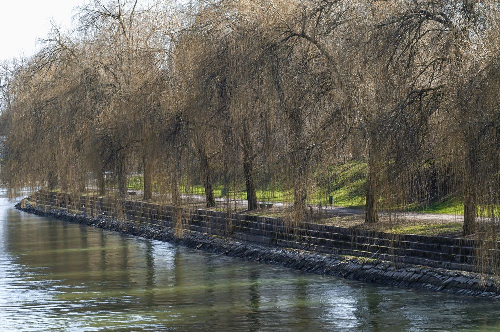 Фотография автора Branko Banko