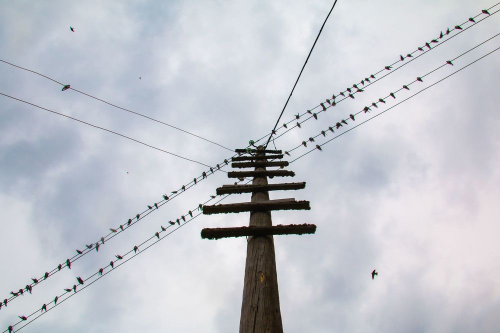 Photograph by Ирина Рыжова