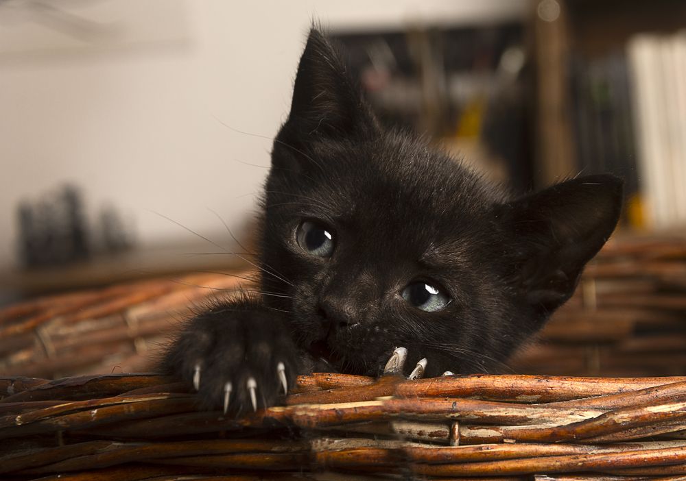 Photograph by jose colina