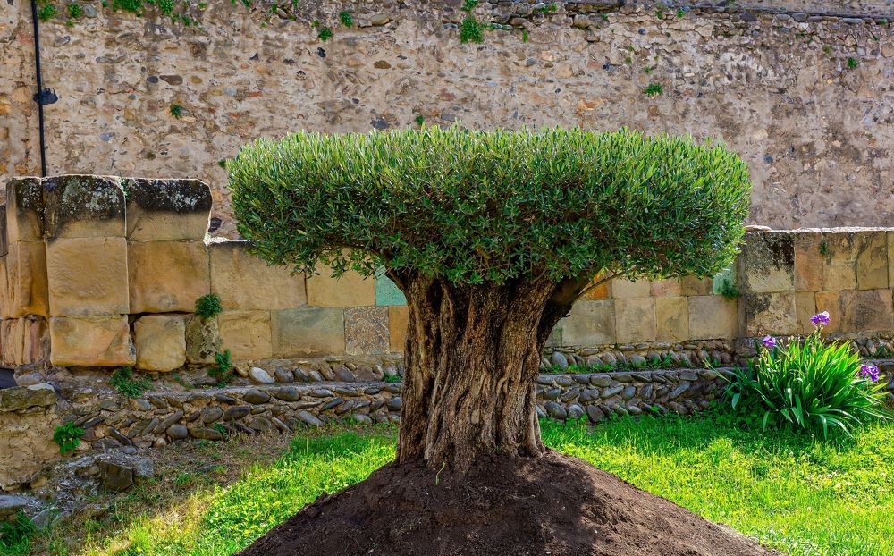 Photograph by yuri kutukov