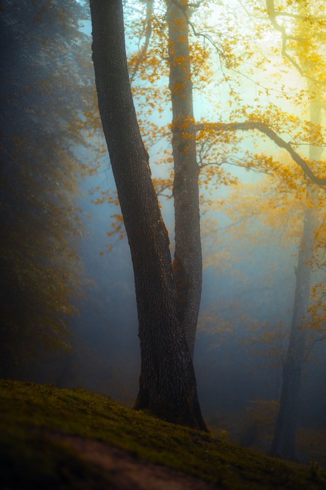 Photograph by Morteza Ghanbari