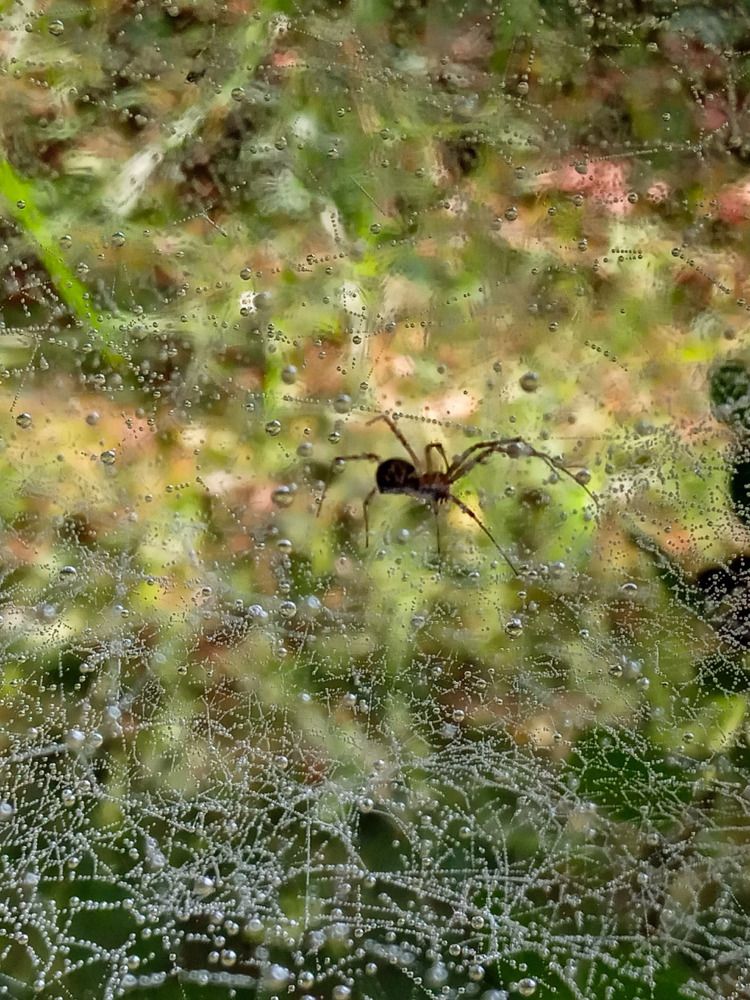 Photograph by Оксана