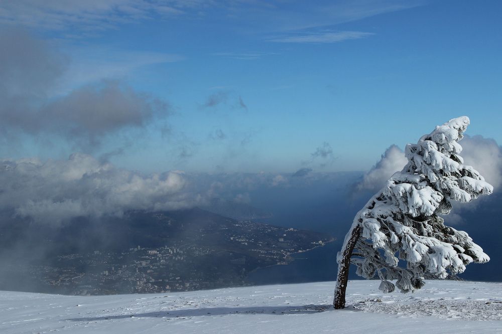 На семи ветрах