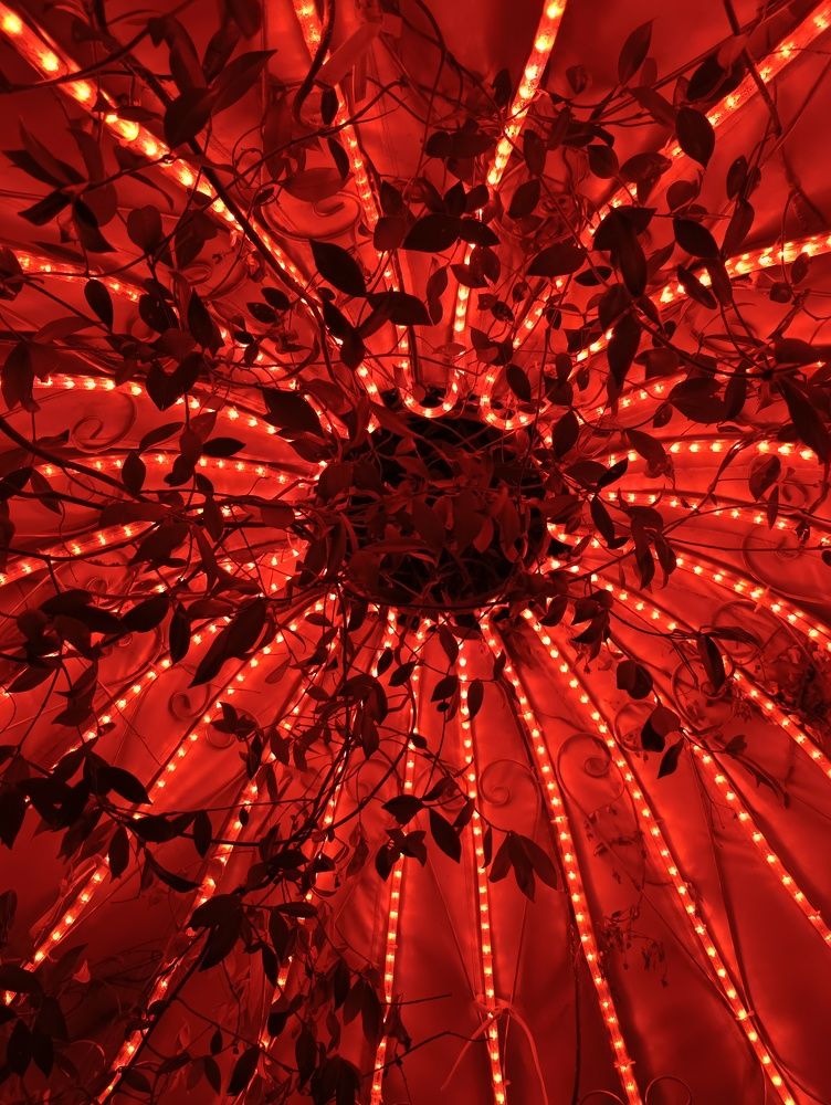 Фотография автора Елена Александрова