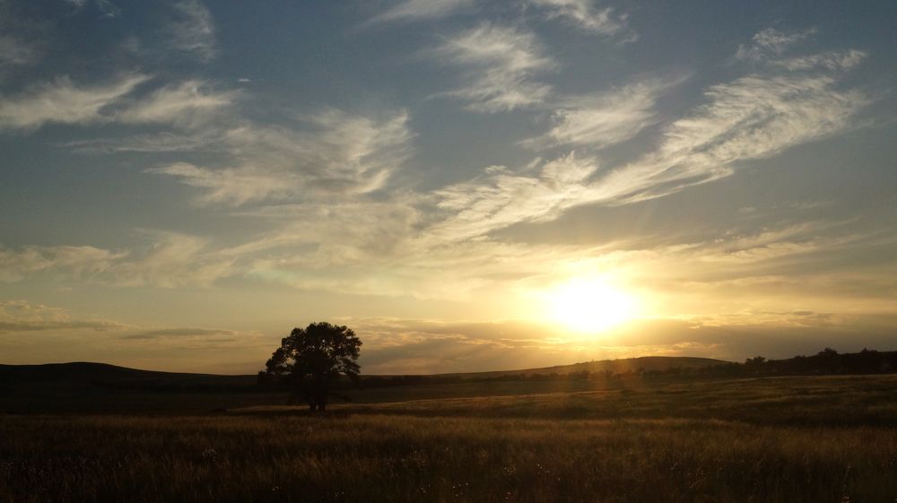 Photograph by Niyaz Mirhaydarov