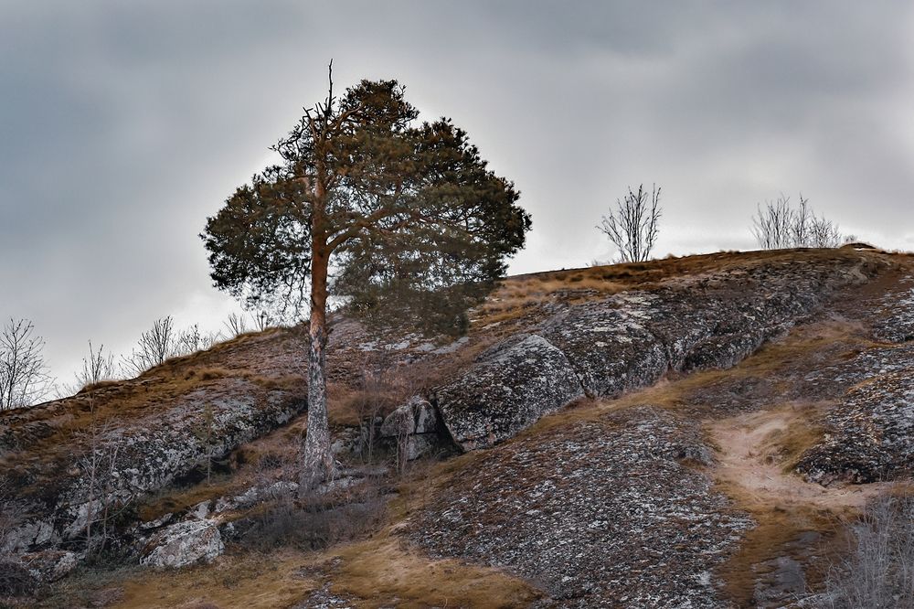 Photograph by Елена Амозова