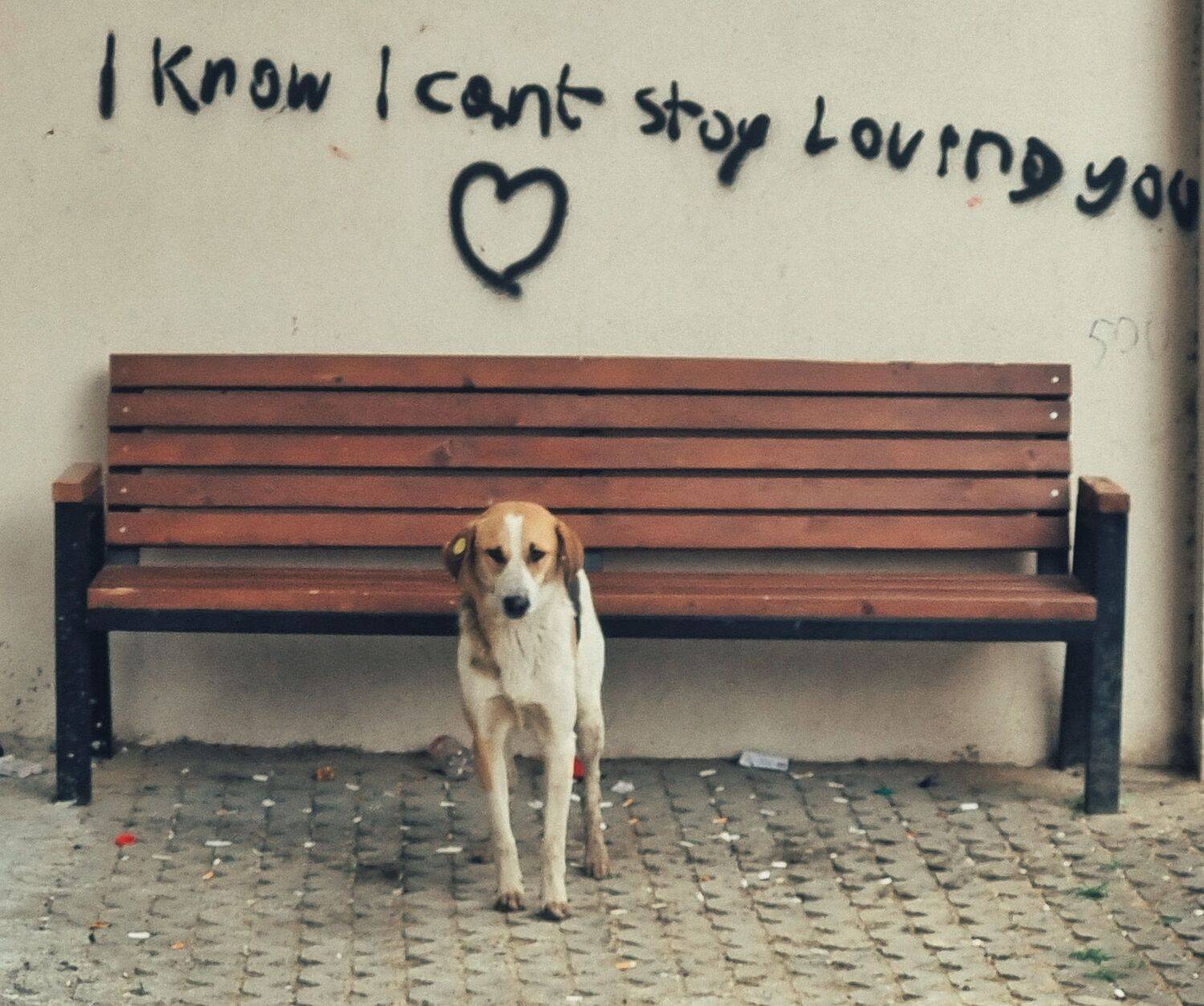 Photo #10628906