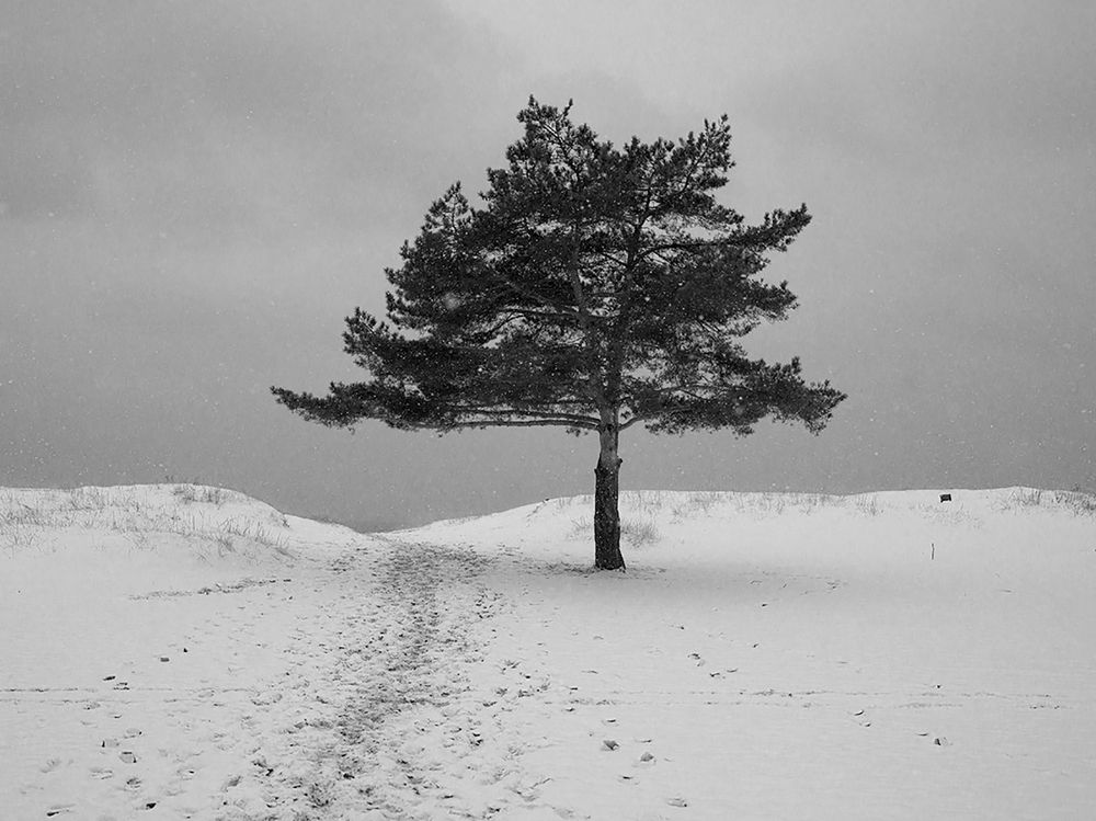 Photograph by Смирнов Алексей