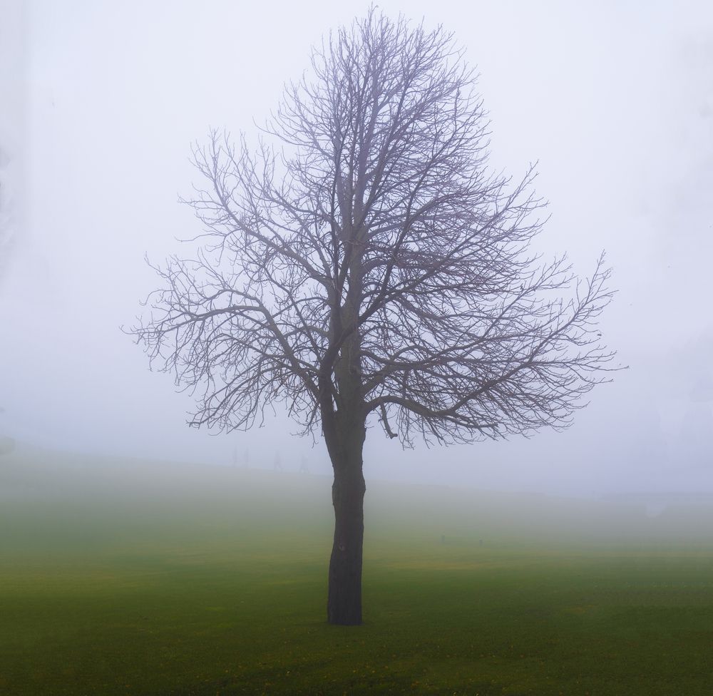 Фотография автора Дмитрий Кетов