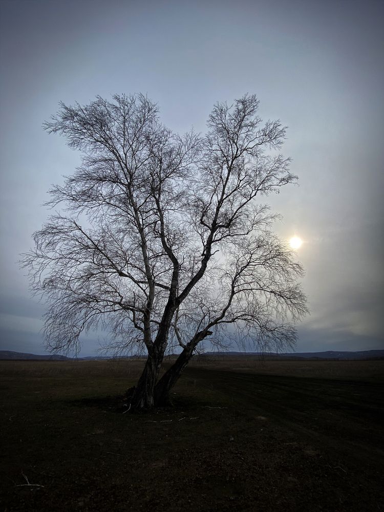 Photograph by Niyaz Mirhaydarov