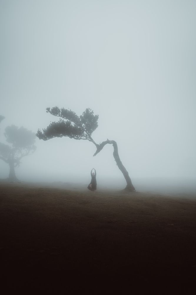 Photograph by Julio Pendilhe