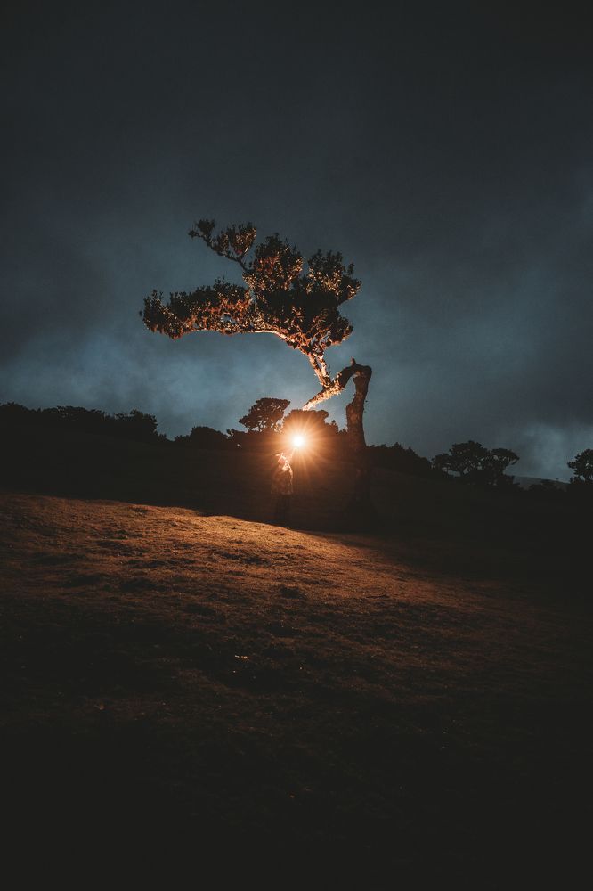 Photograph by Julio Pendilhe