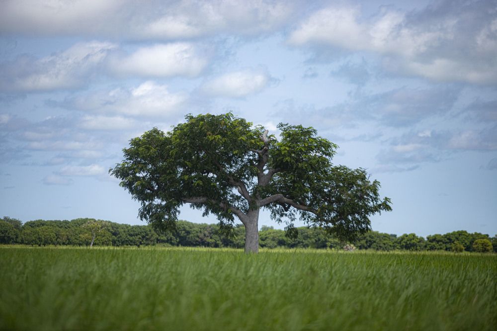 Photograph by Evans Ahorsu