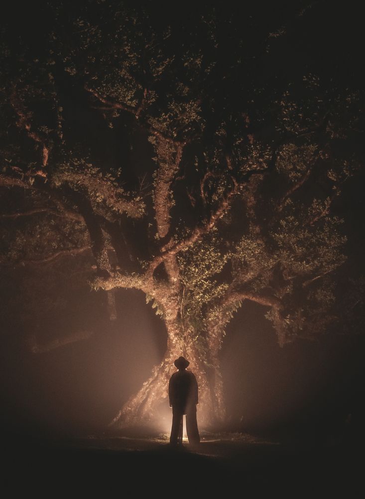 Photograph by Julio Pendilhe