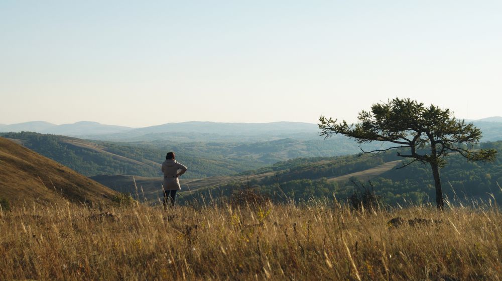 Photograph by Niyaz Mirhaydarov