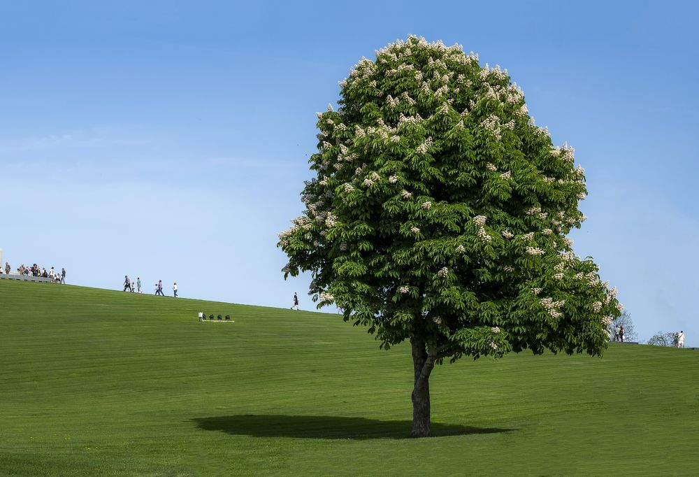 Фотография автора Дмитрий Кетов