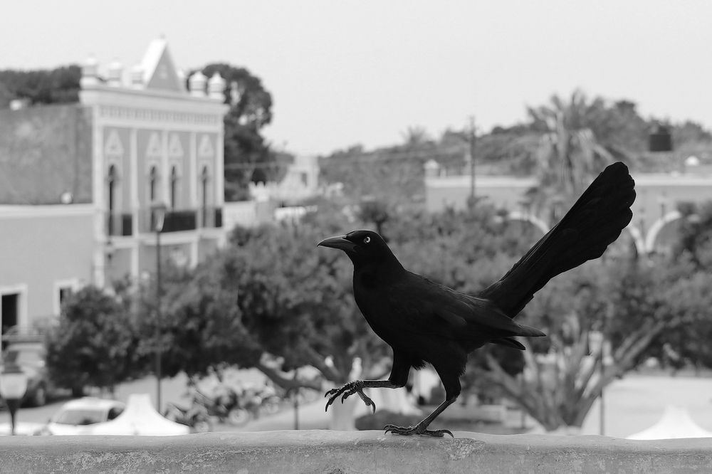 Photograph by Dagmar Vopolková