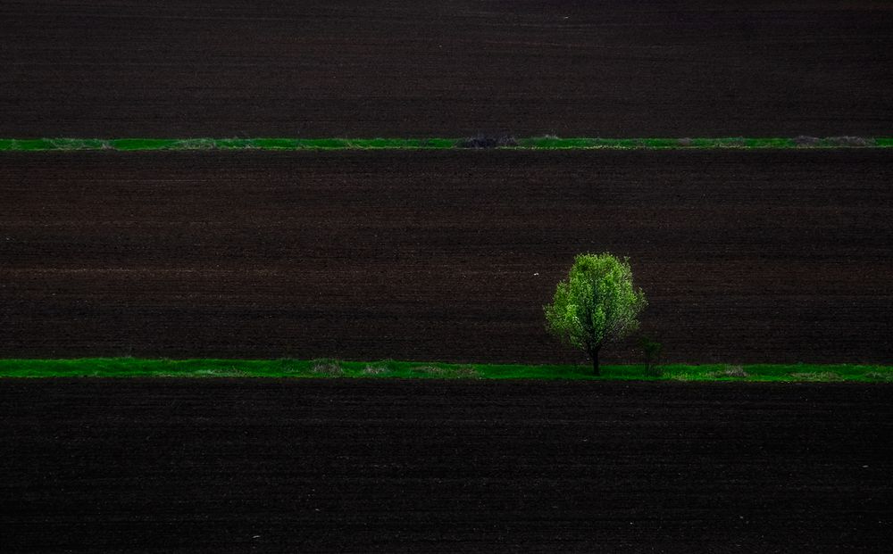 Фотография автора Popescu Cezar Gabriel