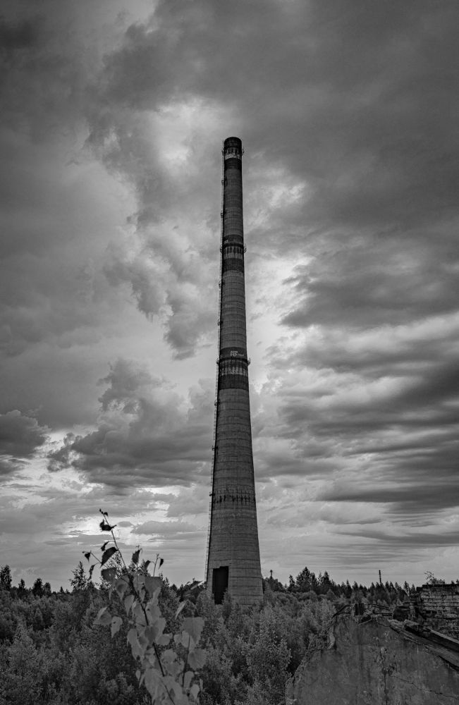 Photograph by Ольга Шиляева