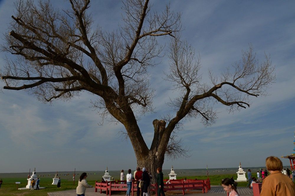 Photograph by Ольга Шевцова