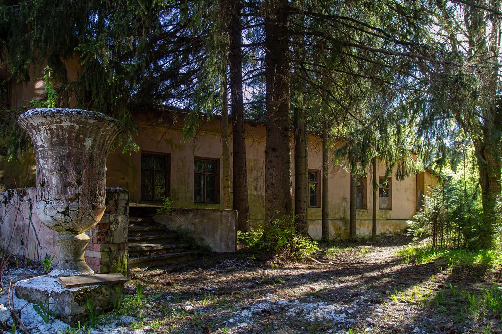 Photograph by Светлана Сипрова