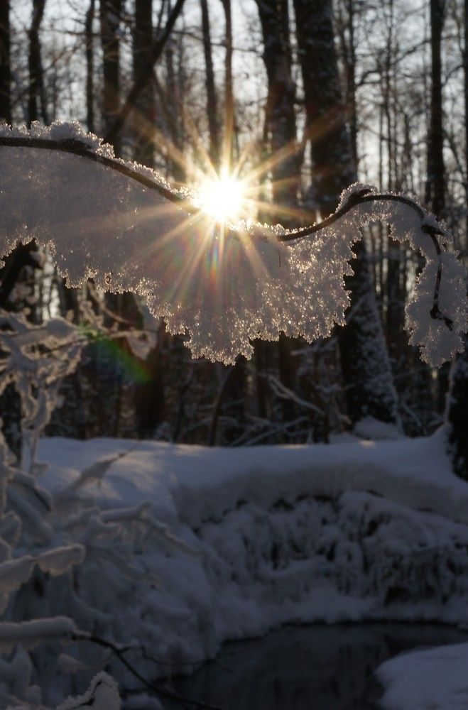 Photograph by Наталья Горбунова