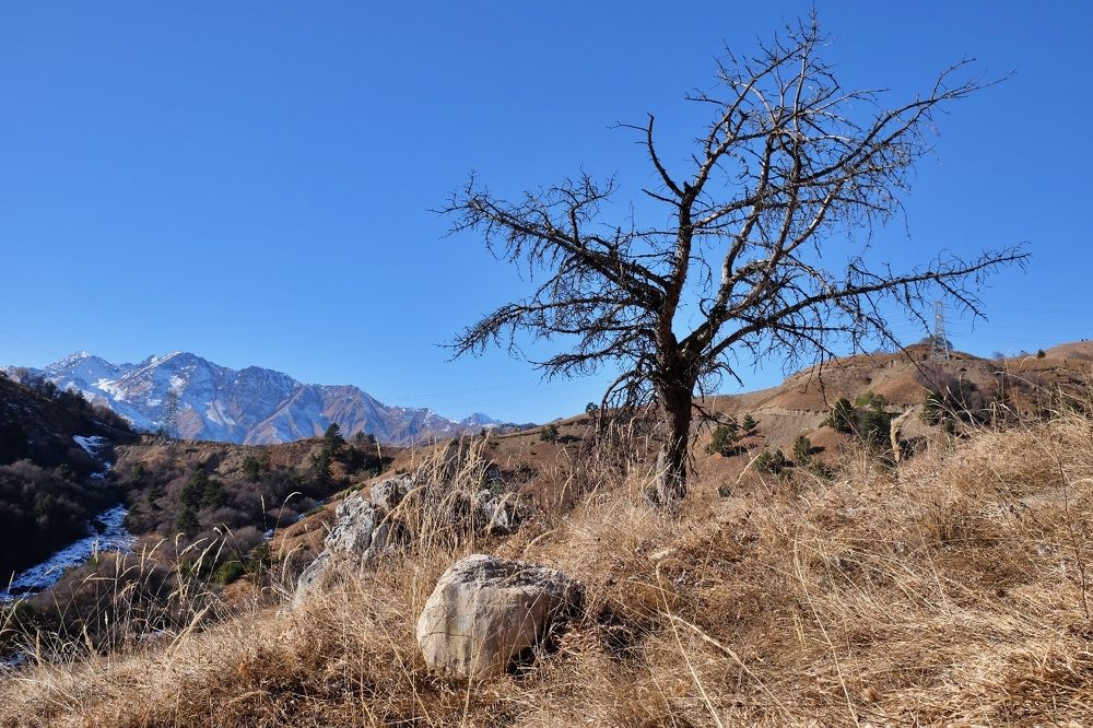 Осень в горах