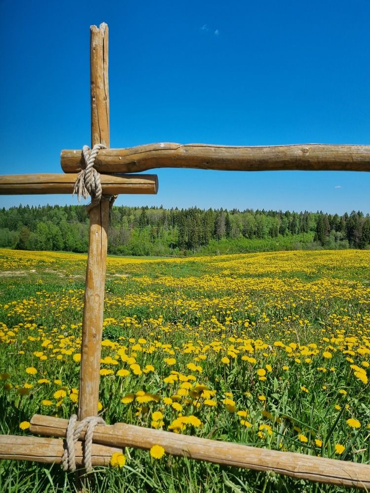 Photograph by Наталья Королева