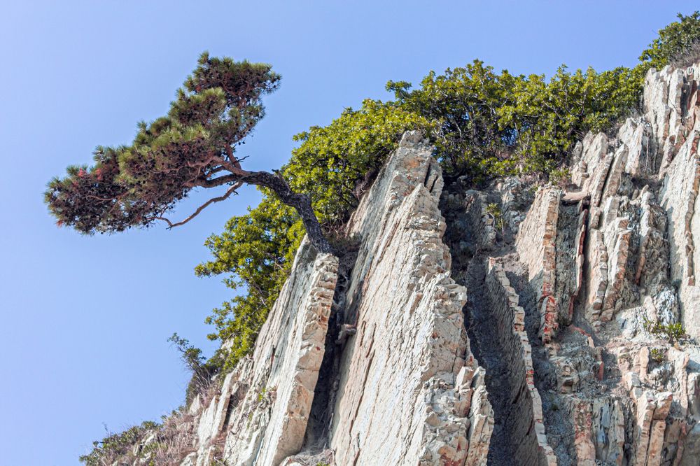 Photograph by Сергей Христинич