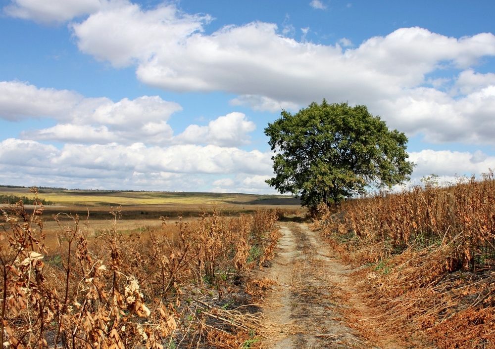 Photograph by Сергей Христинич