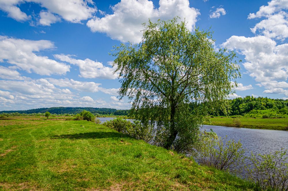 Photograph by Денис Кичев