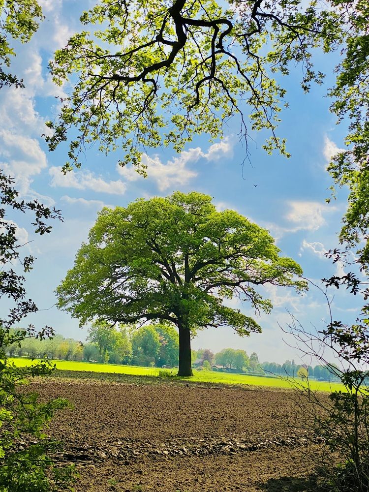 Фотография автора Александр Заикин
