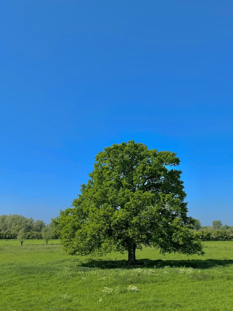 Фотография автора Александр Заикин