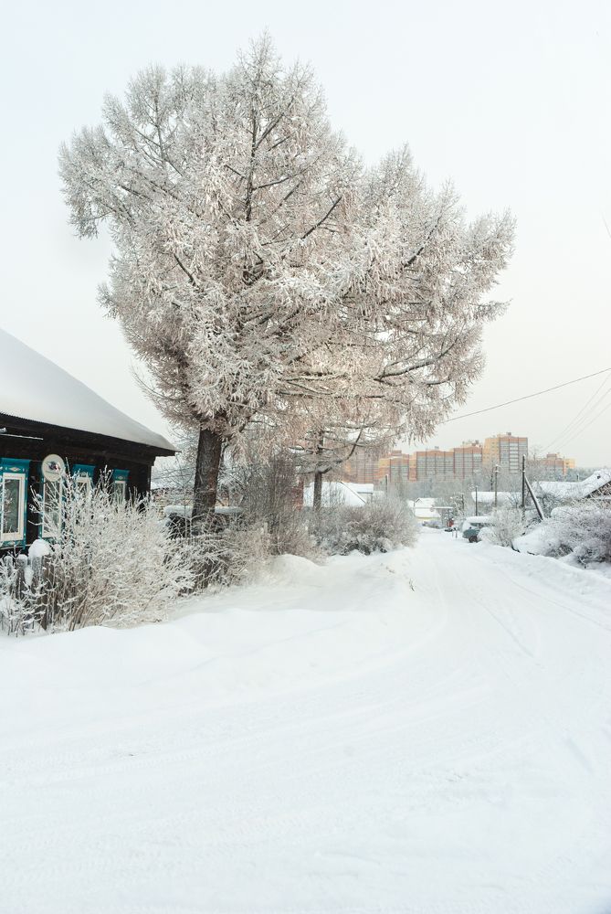 Photograph by Денис Кичев