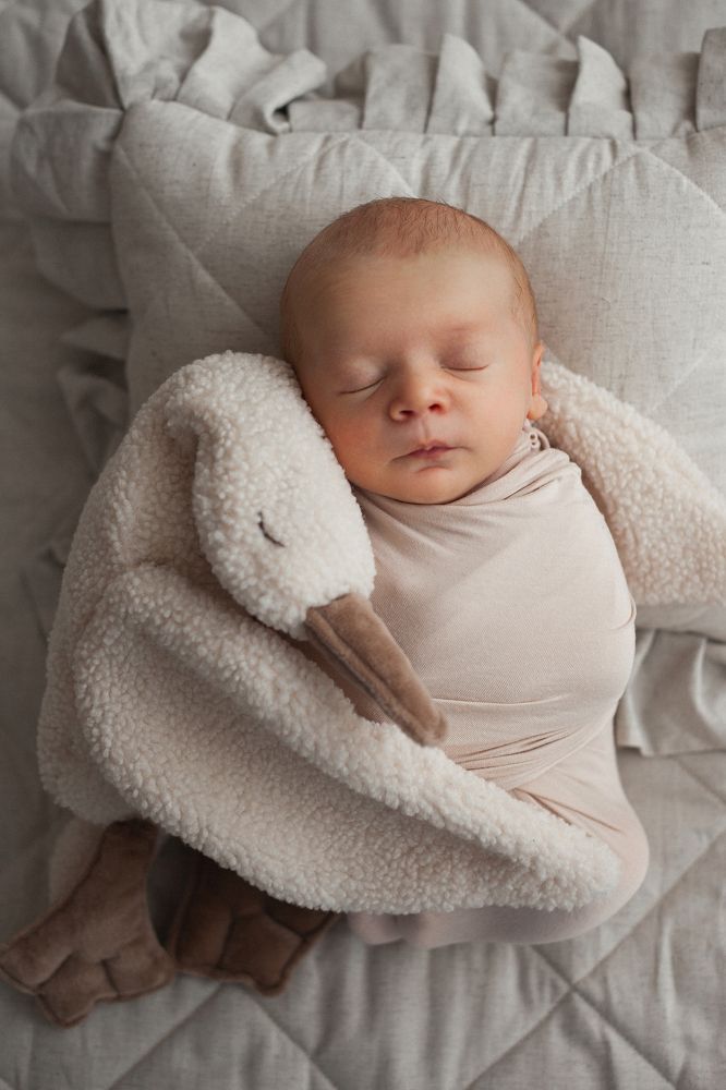 Фотография автора Olga Fedorova