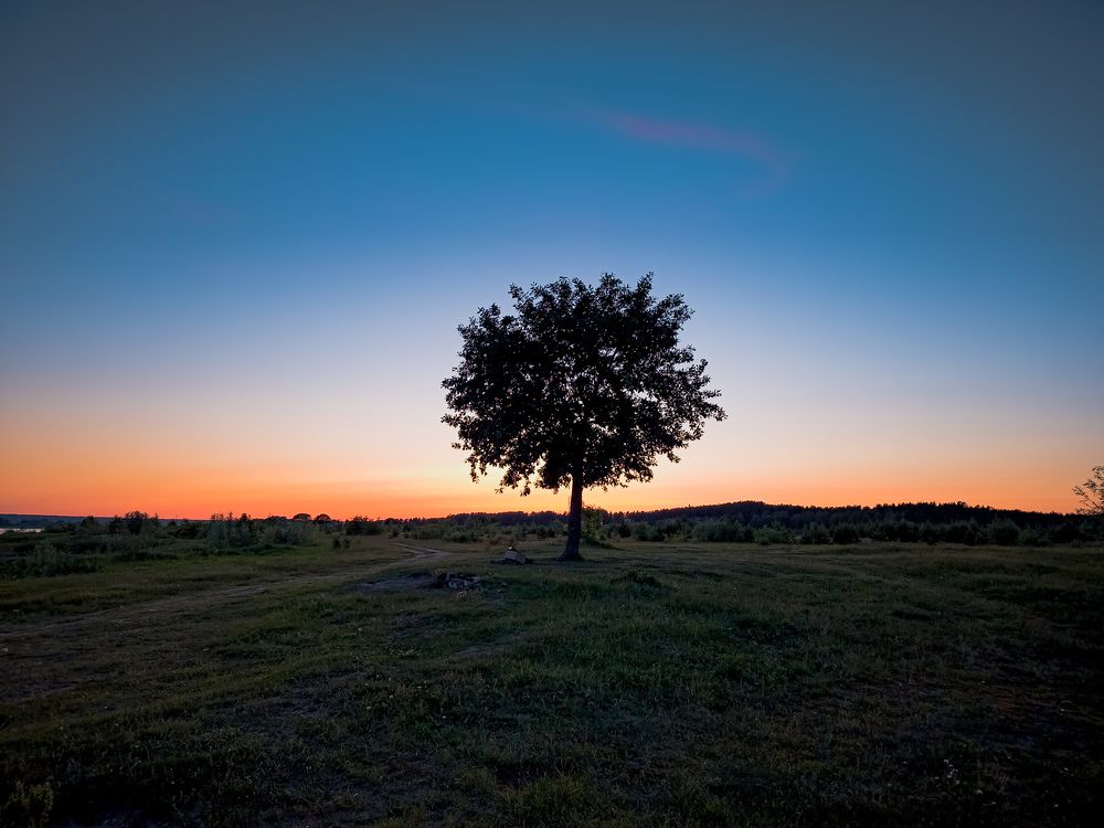 Photograph by Konstantin Martynov