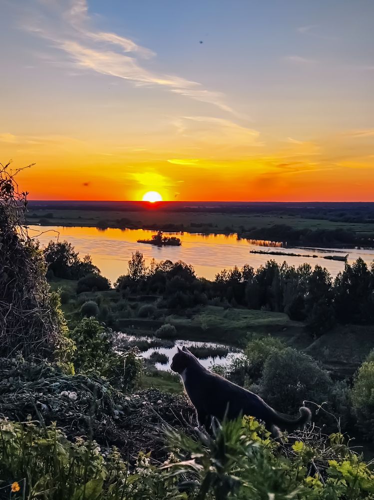 Фотография автора Ольга Савочкина