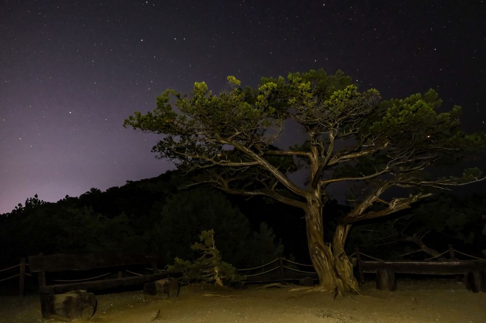 Photograph by Александр Стрельченко