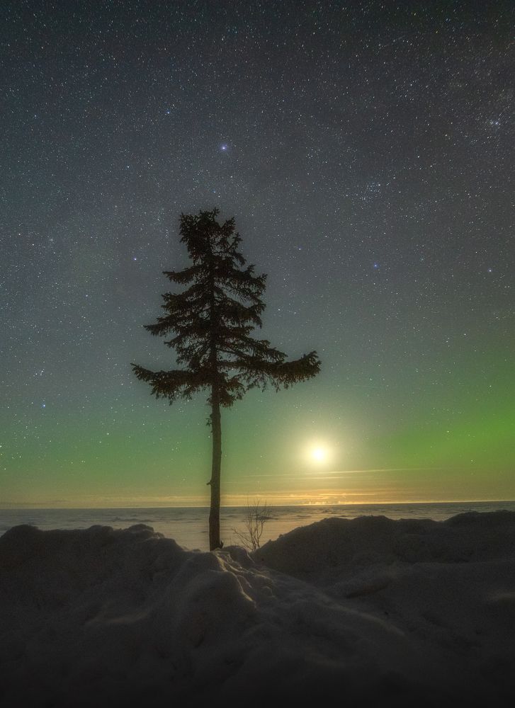 Photograph by Михаил Карпов